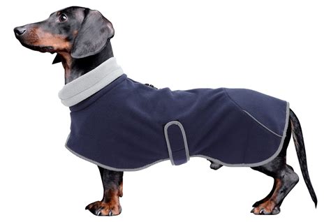 dachshund fleece fabric|winter sweaters for dachshunds.